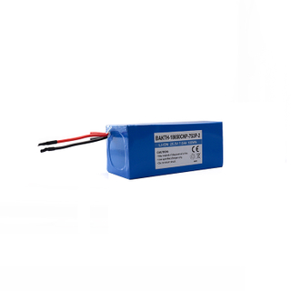 BAKTH-18650CNP-7S3P-2 25,2V 7500MAH Customized Lithium Ion Battery Battery Battery Pack für Elektromotter/E-Bike